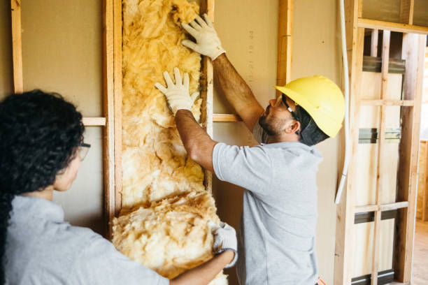 Best Cellulose Insulation  in Plant City, FL