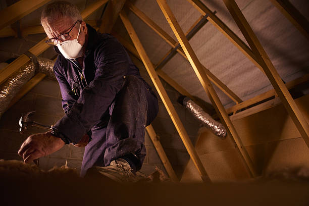 Best Spray Foam Insulation  in Plant City, FL