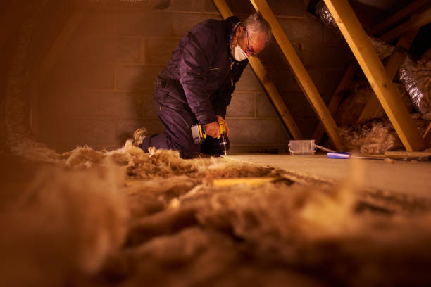 Best Residential Insulation Services  in Plant City, FL